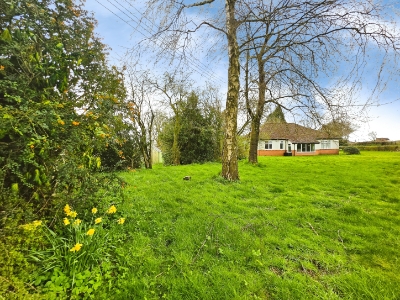 Picture 30